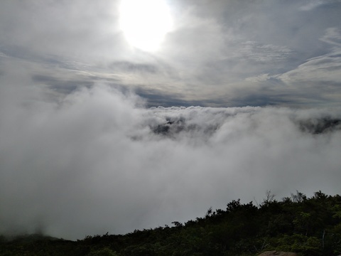 IMG_20200703_061654234.jpg