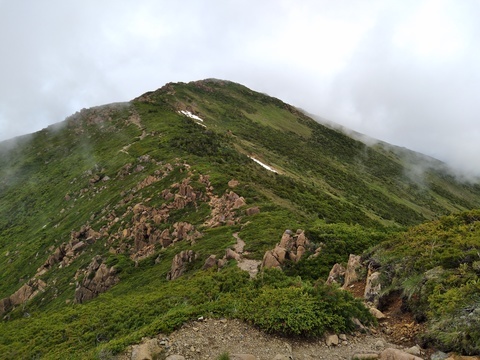 IMG_20200703_102310161.jpg