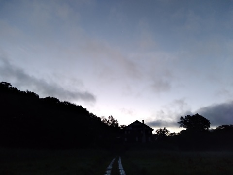 IMG_20200902_045353729.jpg