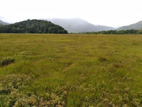 IMG_20200902_091355724.jpg
