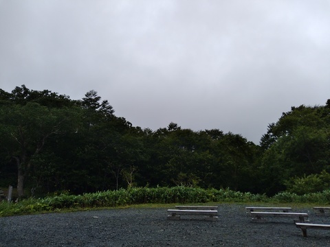 IMG_20200902_104540878.jpg