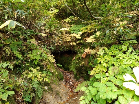 IMG_20201007_094821679.jpg