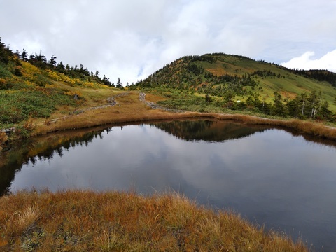 IMG_20201007_114100549.jpg