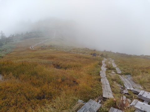 IMG_20201007_124238461.jpg
