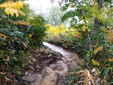 IMG_20201008_104946494.jpg