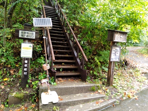 IMG_20201008_120149142.jpg