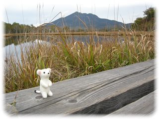 _DSCN9373.jpg