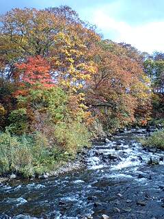 081009_1306~0001.jpg