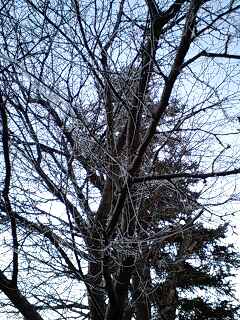 081016_0602~0001.jpg