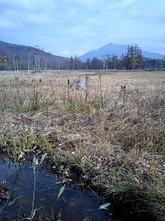 091017_1012~0001.jpg