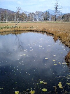 091017_1015~0001.jpg