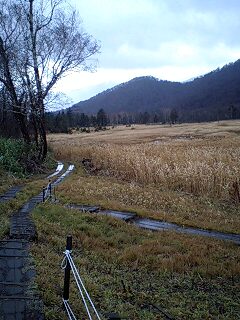 091027_1256~0001.jpg
