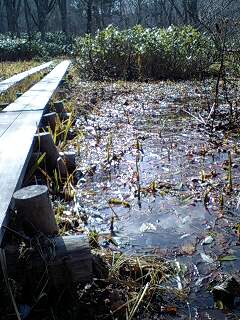 091029_1035~0001.jpg