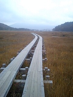 101020_0710~0001.jpg