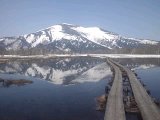110519_0900~010001.jpg